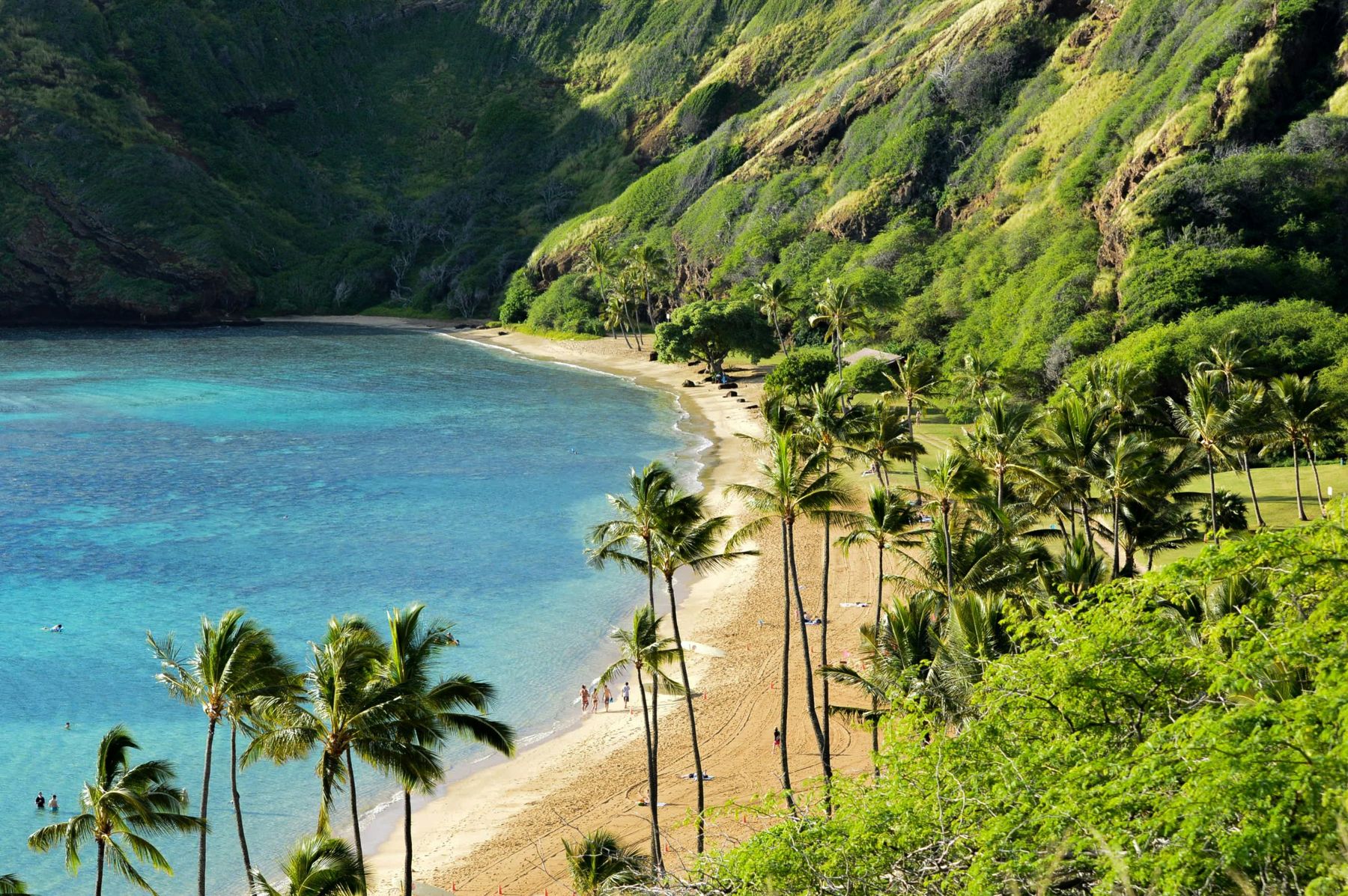 Palm-lined beach and turquoise water at Hanauma Bay